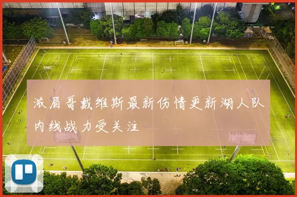 浓眉哥戴维斯最新伤情更新湖人队内线战力受关注