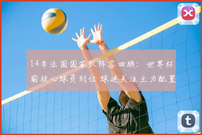 14年法国国家队阵容回顾:世界杯前核心球员到位 球迷关注主力配置
