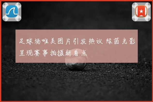 足球场唯美图片引发热议 绿茵光影呈现赛事拍摄新看点