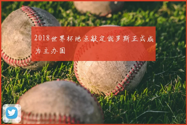 2018世界杯地点敲定俄罗斯正式成为主办国