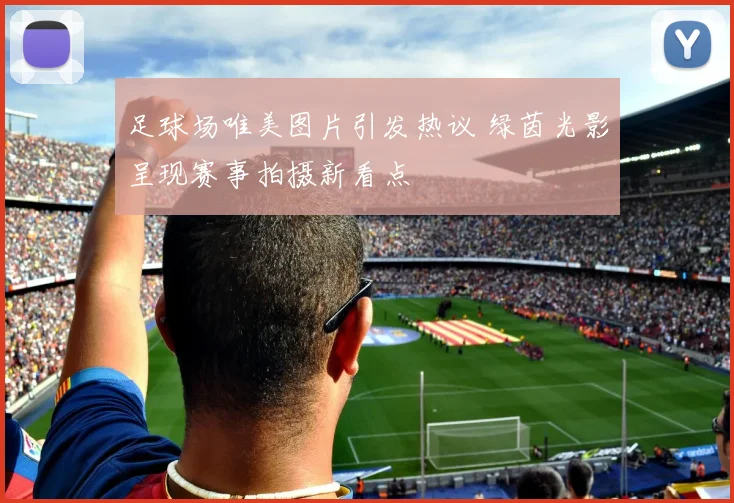 足球场唯美图片引发热议 绿茵光影呈现赛事拍摄新看点