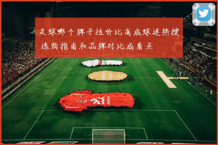 足球哪个牌子性价比高成球迷热搜 选购指南和品牌对比成看点